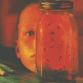 Jar Of Flies